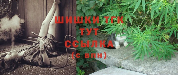 амф Зерноград