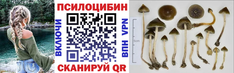 Псилоцибиновые грибы Psilocybine cubensis  Купить закладки  Кропоткин 